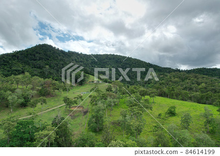 Country Home Nestled In A Green Countryside 84614199