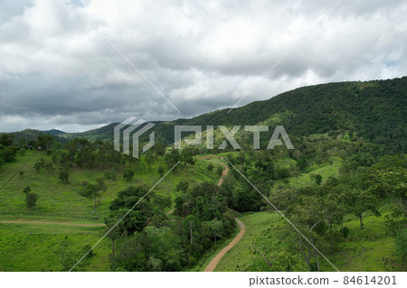 Unpaved Road Through a Green Valley Unpaved Road Through a Green Valley 84614201