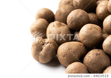 竹草 竹草 84614519