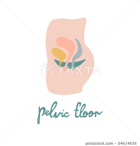 Female pelvic organs flat illustration. Women reproductive health. Can bes used for topics like medicine, fitness, human body, prolapse  84614656