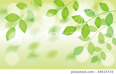 綠色背景 84614719