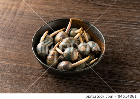 葵 葵 84614861