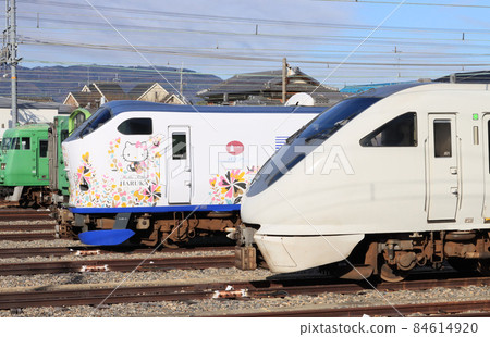 在向日町車站停靠的特快列車 84614920