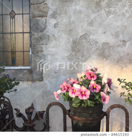 西式，牆壁，石膏，窗戶，彩色玻璃，花，花盆 84615193