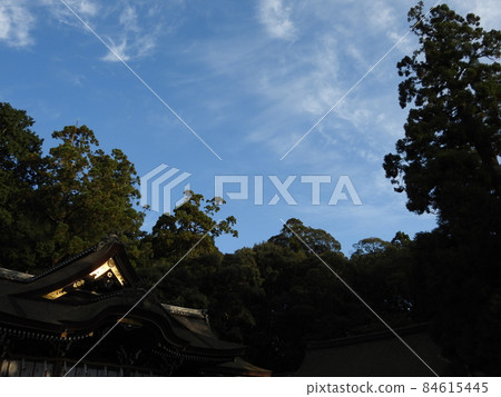 Mikuyama Mikuyama 84615445