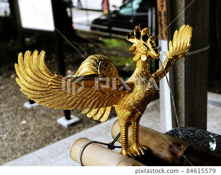 富岡八幡宮金鳳凰 84615579