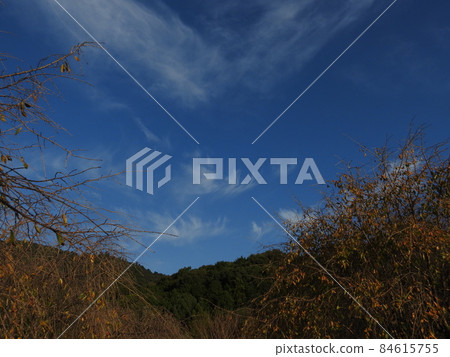 Mikuyama Mikuyama 84615755