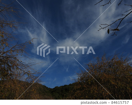 三輪山 三輪山 84615757