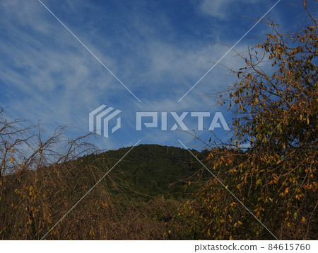 Mikuyama 84615760