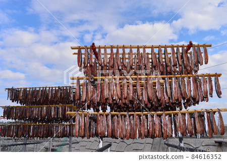Dried squid off the coast of Guryongpo, Pohang, Korea 84616352