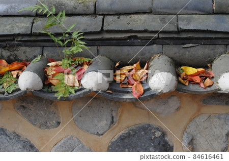 fallen leaves on tile fence 84616461
