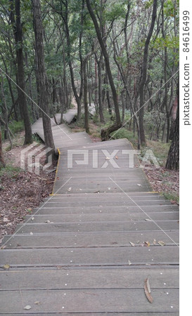Quiet hiking trail with wooden steps 84616499