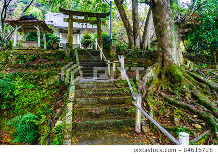 大松神社【長崎縣南松浦區新上五戶町】 84616728