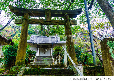 大松神社【長崎縣南松浦區新上五戶町】 84616730