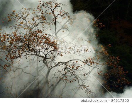 山間露天焚燒煙熏殘柿 84617200