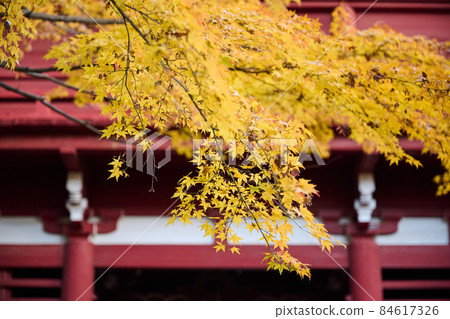 Temple and autumn leaves autumn Temple and autumn leaves autumn 84617326