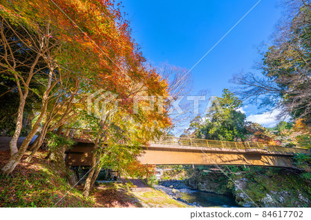 Autumn leaves of Yugashima Onsen 84617702