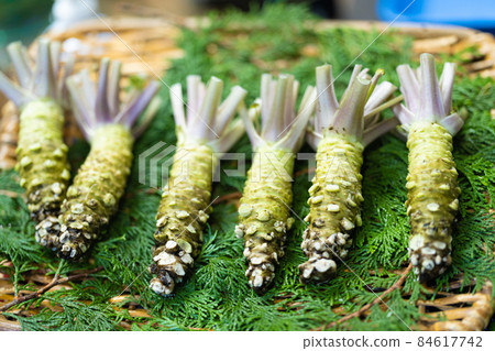 Amagi's Wasabi 84617742