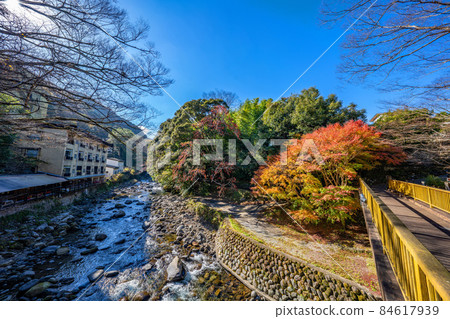 Autumn leaves of Yugashima Onsen 84617939