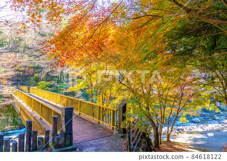 Autumn leaves of Yugashima Onsen 84618122