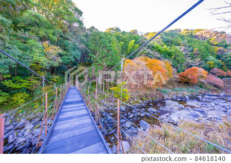 Yugashima溫泉秋葉 84618140