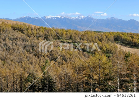 Scenery of Kirigamine plateau in autumn Scenery of Kirigamine plateau in autumn 84618261
