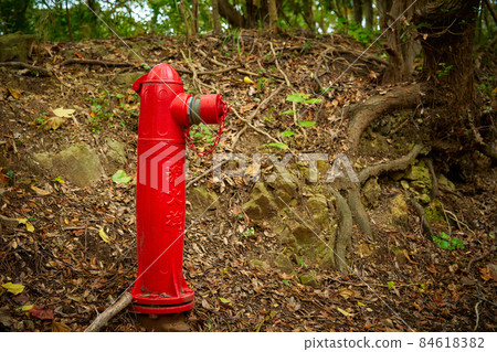 安裝在森林中的消防栓 84618382