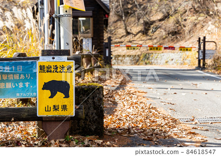 Yamanashi Prefecture Yashajintoge Bear Haunting Caution 84618547
