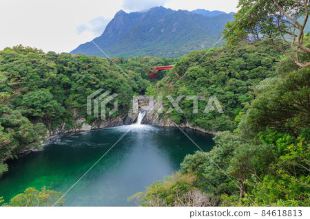 Yakushima Toroki Falls falling into the sea 84618813