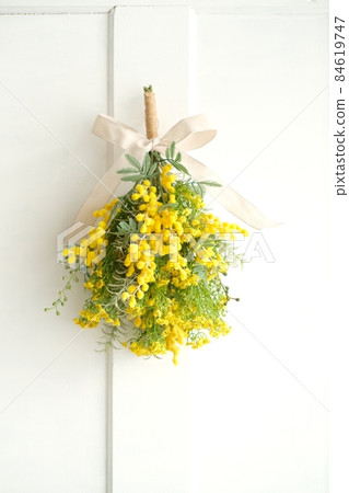 含羞草花束 含羞草花束 84619747