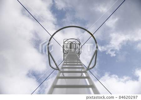 Heart Land Ferry Amapola 大豆 84620297