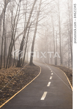 Thick fog on the bike path 84621345