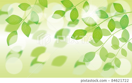 陽光和樹葉背景 84621722