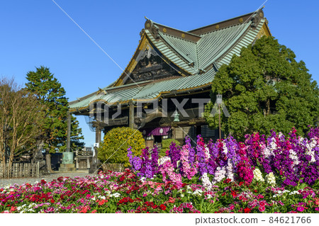 成田山新勝寺釋迦堂和花壇秋天 84621766
