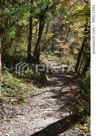 秩父步行:和渡山腳下的山路 秩父步行:和渡山腳下的山路 84621992