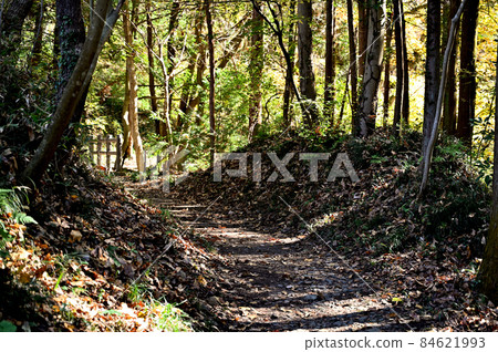 Chichibu walk: Mountain road at the foot of Mt. Wado 84621993