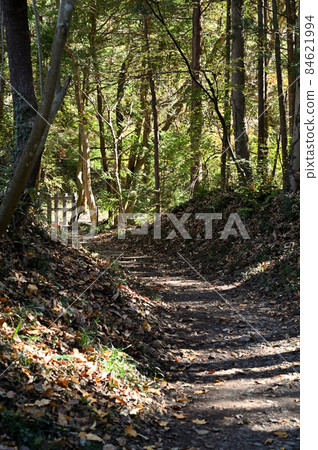 秩父步行：和渡山腳下的山路 84621994