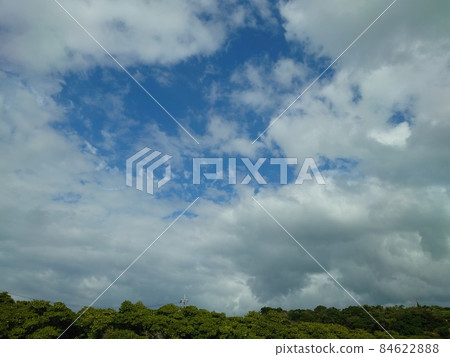 紅樹林和沖繩的天空 紅樹林和沖繩的天空 84622888