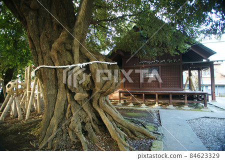 Otonashi Shrine Otonashi Shrine 84623329