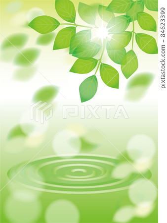 Fresh green and water surface Fresh green and water surface 84623399