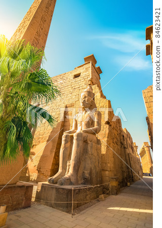 luxor temple and palm luxor temple and palm 84623421