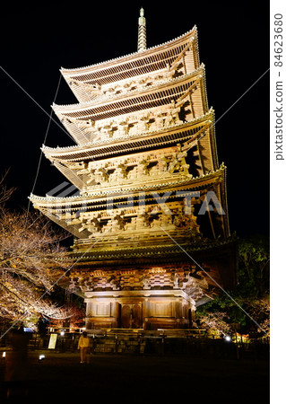 Toji Autumn Leaves Illuminated World Heritage Five-storied Pagoda Toji Autumn Leaves Illuminated World Heritage Five-storied Pagoda 84623680