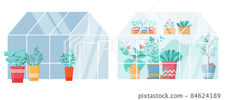 Cartoon greenhouse. Garden green plants in house of glass, cultivated in pots and soil, glasshouse for growing plants. Vector set gardening planting vegetables in greenhouses Cartoon greenhouse. Garden green plants in house of glass, cultivated in pots and soil, glasshouse for growing plants. Vector set gardening planting vegetables in greenhouses 84624189