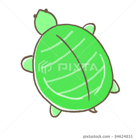 R：更童話的水族箱☆從上到下的甲魚② 84624831