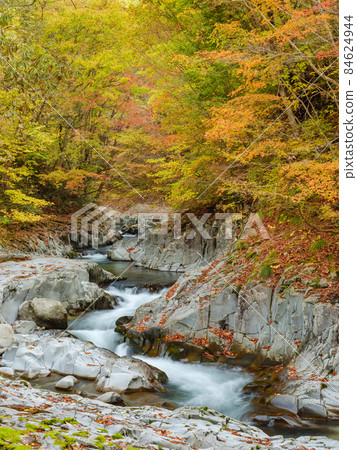 Fukushima_Autumn leaves in Nakatsugawa Valley Fukushima_Autumn leaves in Nakatsugawa Valley 84624944