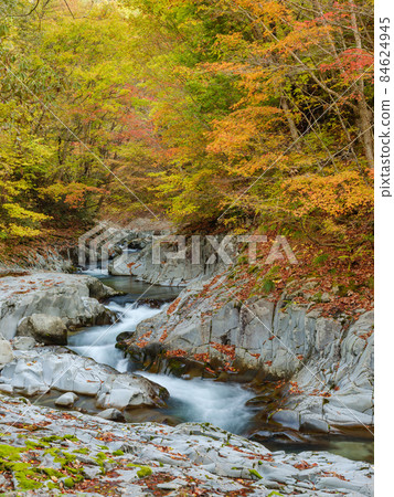 Fukushima_Autumn leaves in Nakatsugawa Valley Fukushima_Autumn leaves in Nakatsugawa Valley 84624945
