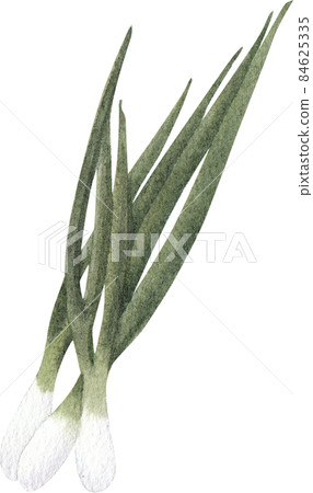 Hong Kong food and ingredients watercolor clipart png Hong Kong food and ingredients watercolor clipart png 84625335