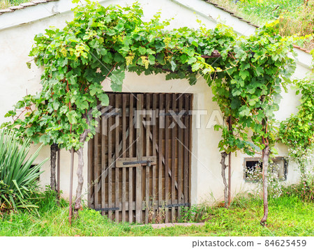 Group of typical wine cellars in Moravia, Czech Republic. Moravia wine region, tourism. Traditional buildings 84625459