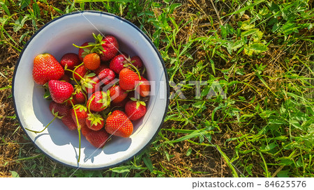 Fresh juicy ripe tasty organic strawberries in an old metal bowl outdoors on a sunny summer day. Strawberry red fresh berries and sweet juicy fruit. 84625576