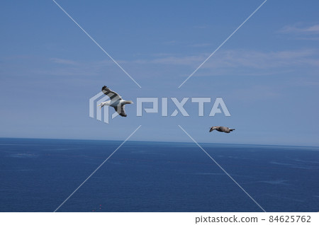 Birds flying in the sky of Oronko Rock Birds flying in the sky of Oronko Rock 84625762